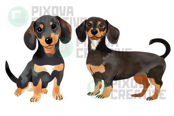 Download Sausage Dogs 2 Graphic Bundle PNG - Png Collection