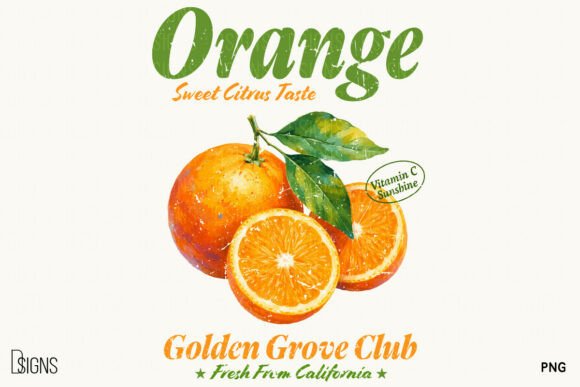 Download Retro Orange Vintage Summer Fruit PNG - Png Collection